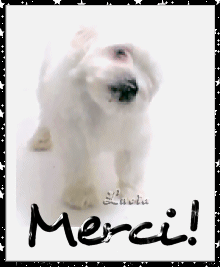 Merci
